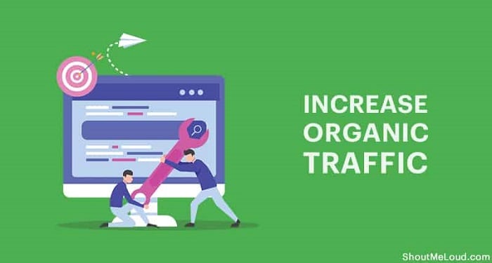 50 cách tăng traffic cho website tốt nhất 2021 2 Tăng Organic Traffic