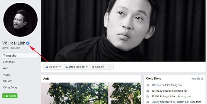 Dịch Vụ Tích Xanh Facebook Fanpage - Profile Uy Tín 2021 2 Tích xanh facebook trên fanpage