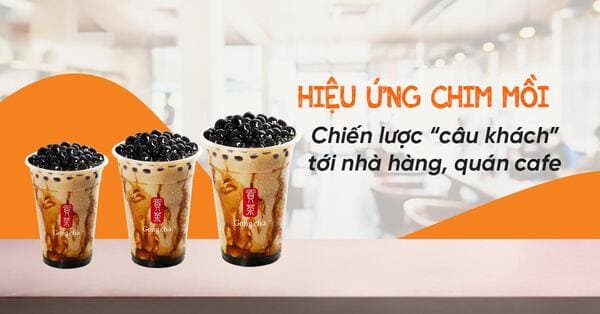 hieu-ung-chim-moi-ap-dung-tai-cua-hang