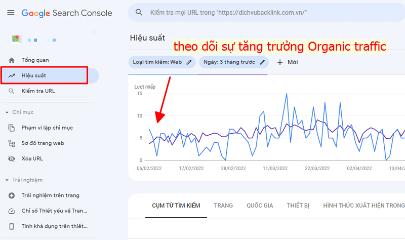 theo-doi-su-tang-truong-organic-traffic